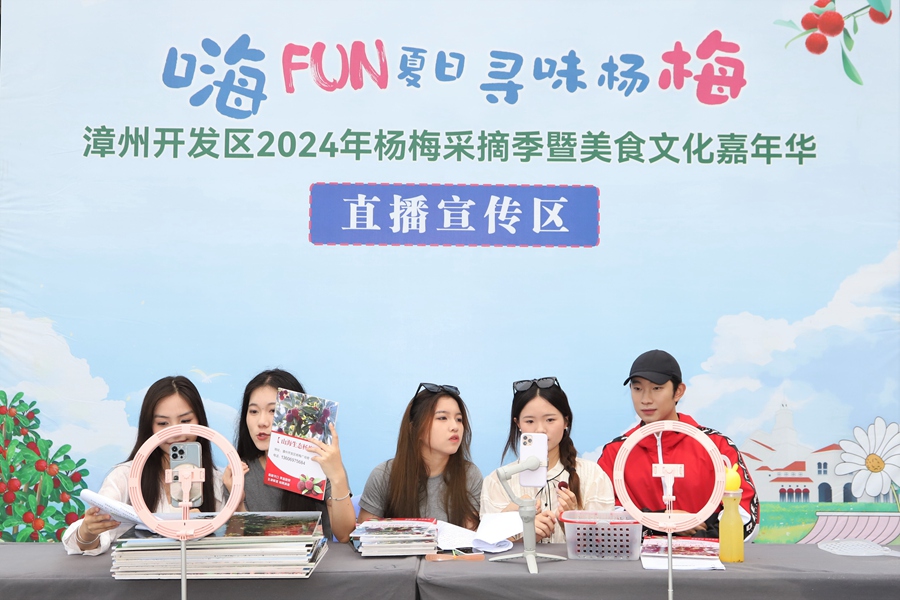 “嗨FUN夏日寻味杨梅”漳州开发区2024年杨梅采摘季暨美食文化嘉年华启动(图3)