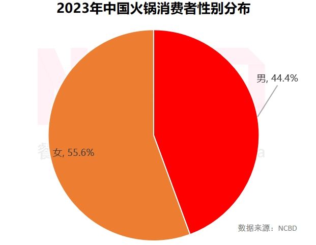 NCBD2023—2024中国火锅行业年度发展报告(图15)