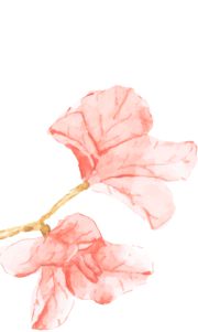 『大师进校园』预告丨为青春赋能携手共筑烘焙梦想(图1)