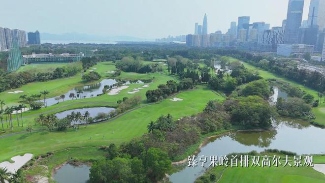 深圳深业世纪山谷售楼处(2024最新消息)房地产市场分析(图10)