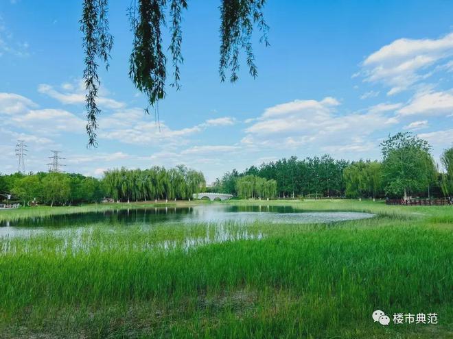 北京晓月和风售楼处电线小时电话(图16)