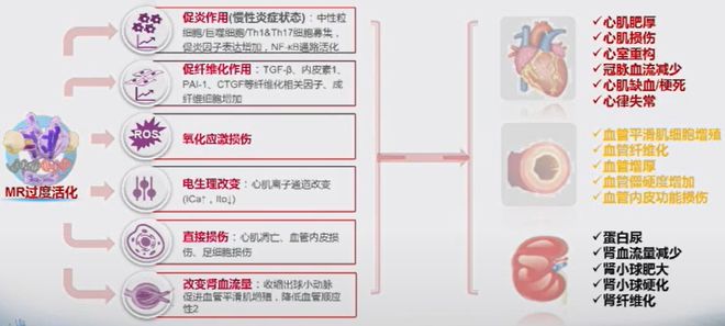 李广平教授：新型非甾体MRA在心血管治疗领域的新进展OCC-WCC2024(图3)