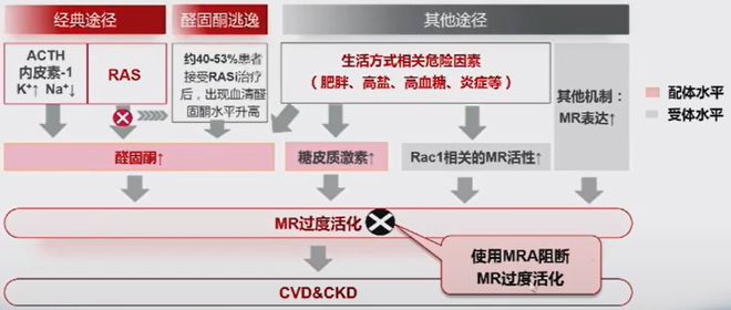 李广平教授：新型非甾体MRA在心血管治疗领域的新进展OCC-WCC2024(图4)