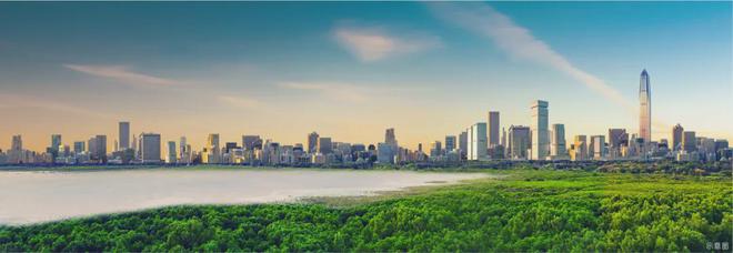 金地环湾城-金地环湾城(2024首页)项目图文详情解析！(图4)