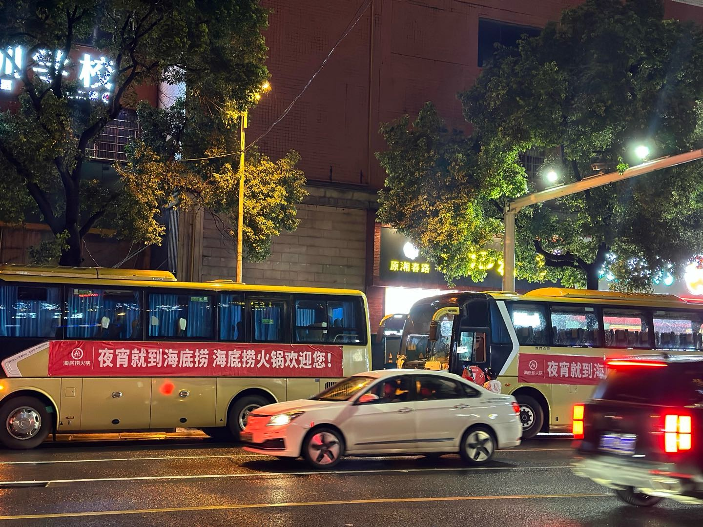 海底捞发布2023年度盘点：解码火锅消费趋势(图3)