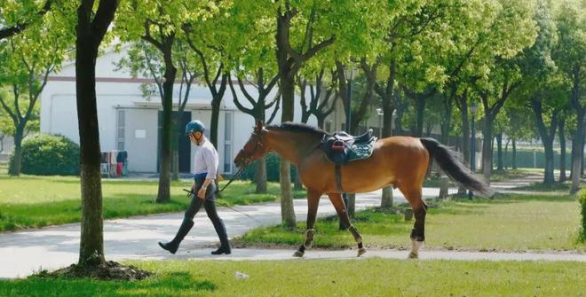 【】国印东方售楼处发布：2024权威发布@国印东方(图7)
