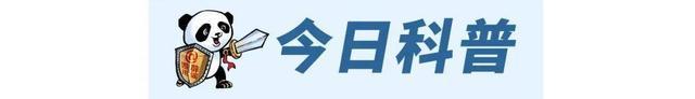 熊猫斩谣（2024年11月18日）(图1)