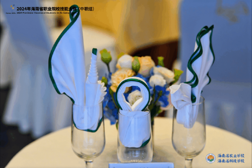 热烈祝贺2024年海南省职业院校技能大赛（中职组）圆满闭幕(图13)