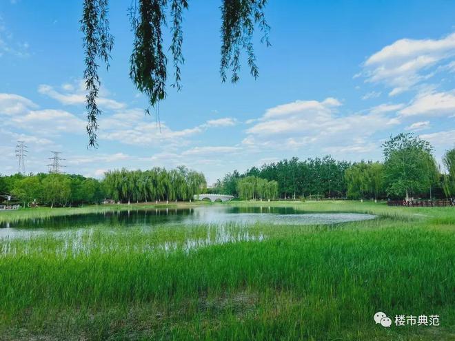 晓月和风售楼处(晓月和风·)网站-2024最新房价详情(图10)