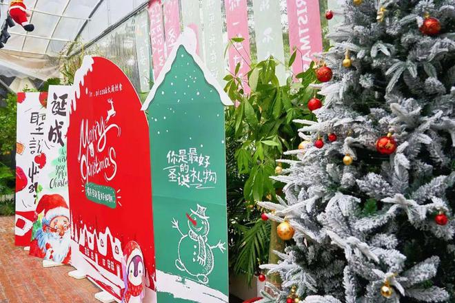 西餐披萨人如何营造圣诞节日氛围吸引新老顾客？(图9)