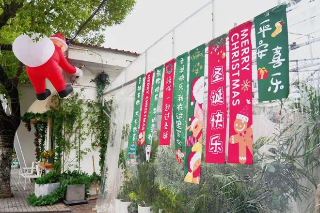 西餐披萨人如何营造圣诞节日氛围吸引新老顾客？(图10)
