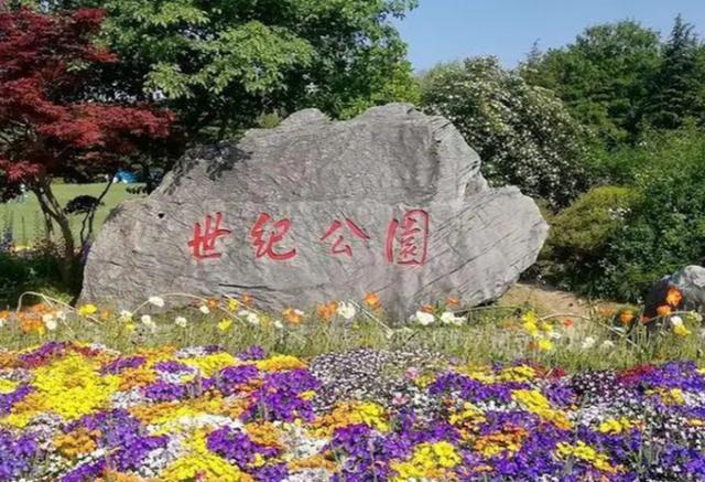 去了几次上海我终于明白为何大家到了上海就啥地方都不想去了(图3)