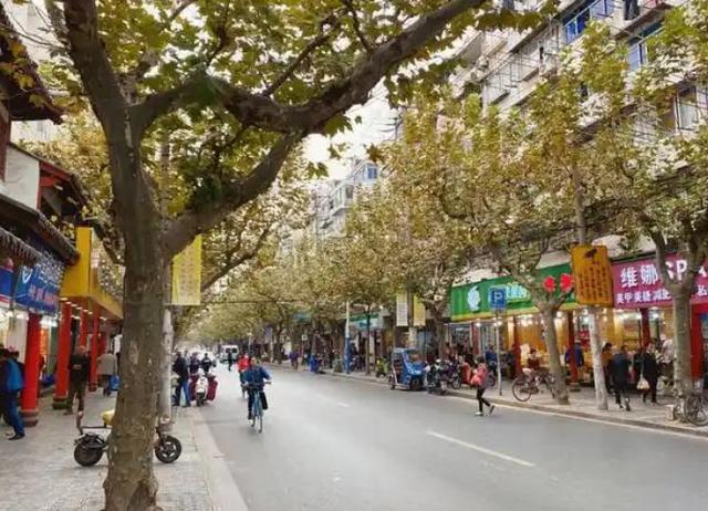 去了几次上海我终于明白为何大家到了上海就啥地方都不想去了(图5)