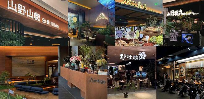 地方菜新王“登基”？！云贵菜在北上广“杀疯了”……(图4)