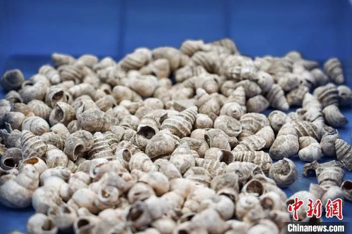 广西这座小城让30多个国家嗦粉“上头”(图2)