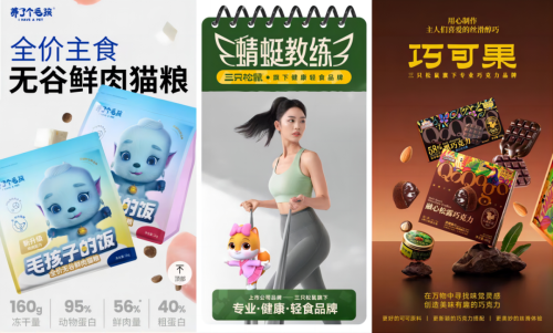 跨界咖啡的三只松鼠想当“零食界小米”(图4)
