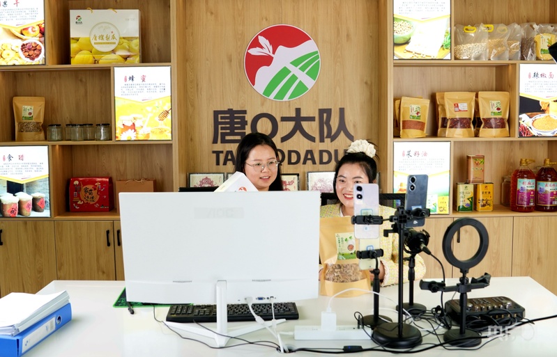 甘肃庆阳推进农文旅融合发展绘就乡村振兴新图景(图3)