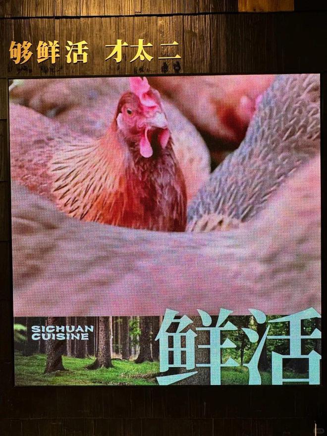 转型“鲜活”炒菜馆太二要放弃单品战略了？(图3)