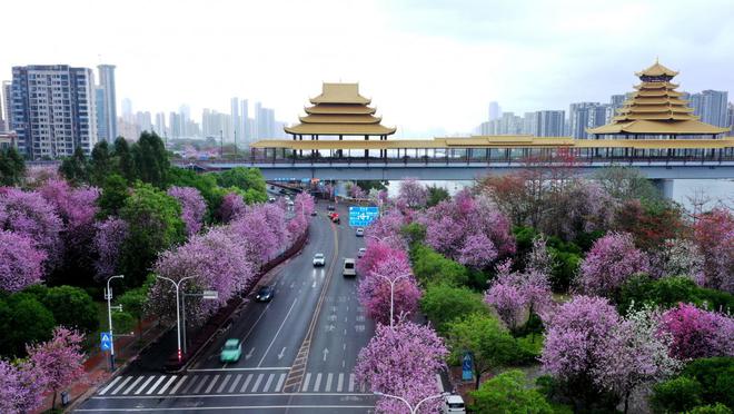 “宝藏”城市柳州！有“味道”、有特色、有内涵(图2)