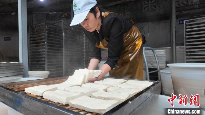 從小作坊到千萬産值：一塊豆腐解鎖昆明呈貢鄉村振興密碼(图1)