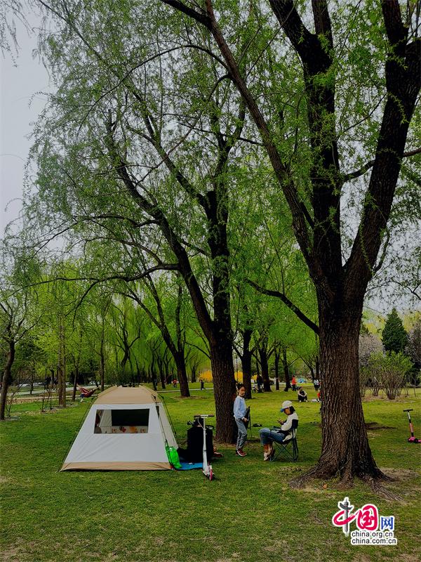 北京公園總數超過1100個小眾公園這樣破圈(图1)